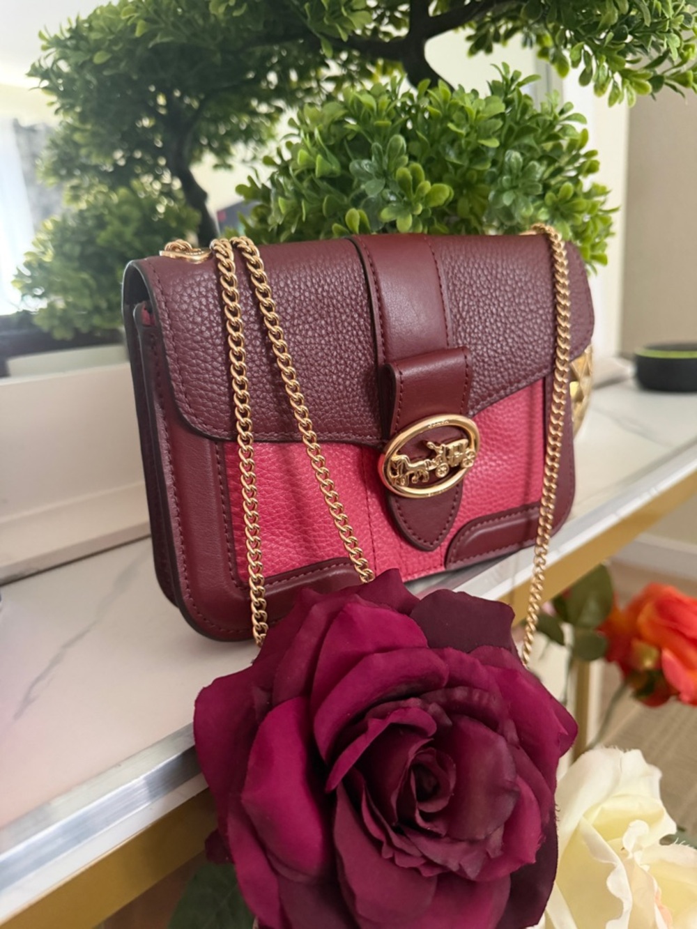 Beautiful & Elegant Coach Crossbody Bag ✨ 🌺🌺🌺🌺🌺
